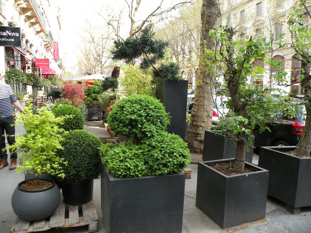  marchand de plantes et arbustes d'extérieur